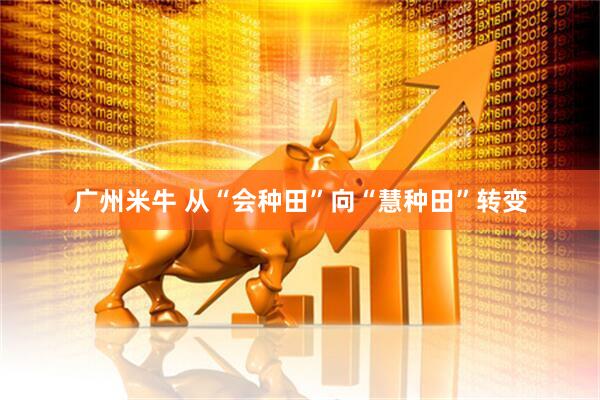 广州米牛 从“会种田”向“慧种田”转变
