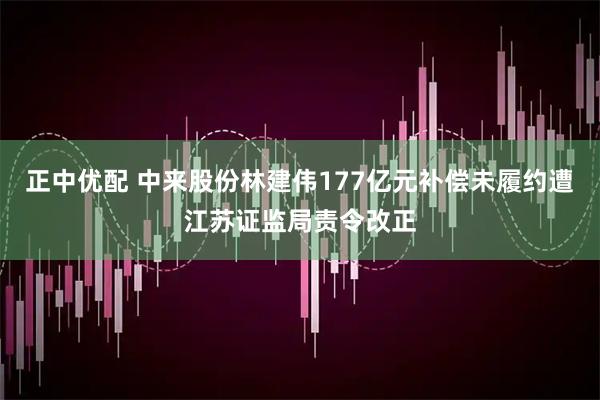 正中优配 中来股份林建伟177亿元补偿未履约遭江苏证监局责令改正
