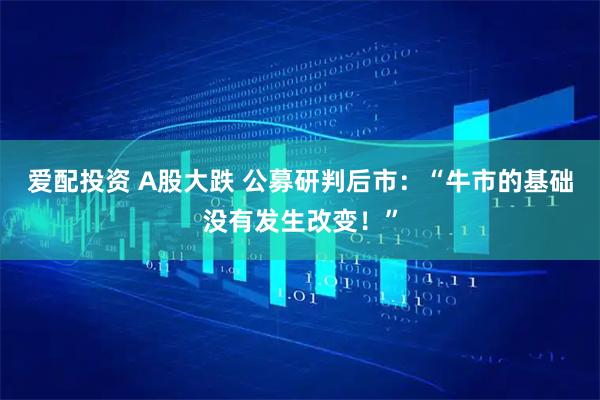 爱配投资 A股大跌 公募研判后市：“牛市的基础没有发生改变！”